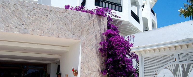 Palmyra Golden Beach Monastir Exterior foto